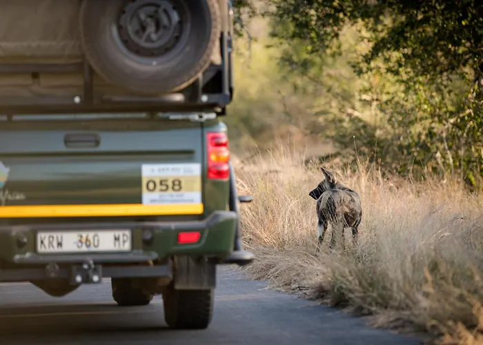 Nkuhlu Tented Camp