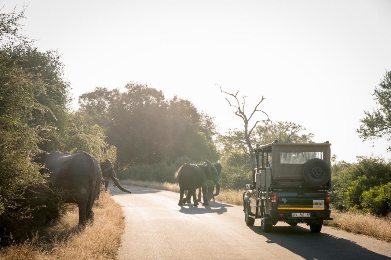 Nkuhlu Tented Camp Skukuza