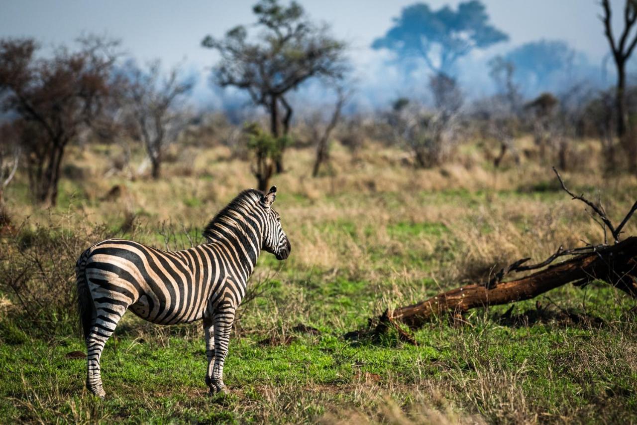 Nkuhlu Tented Camp Luxuszelt Skukuza