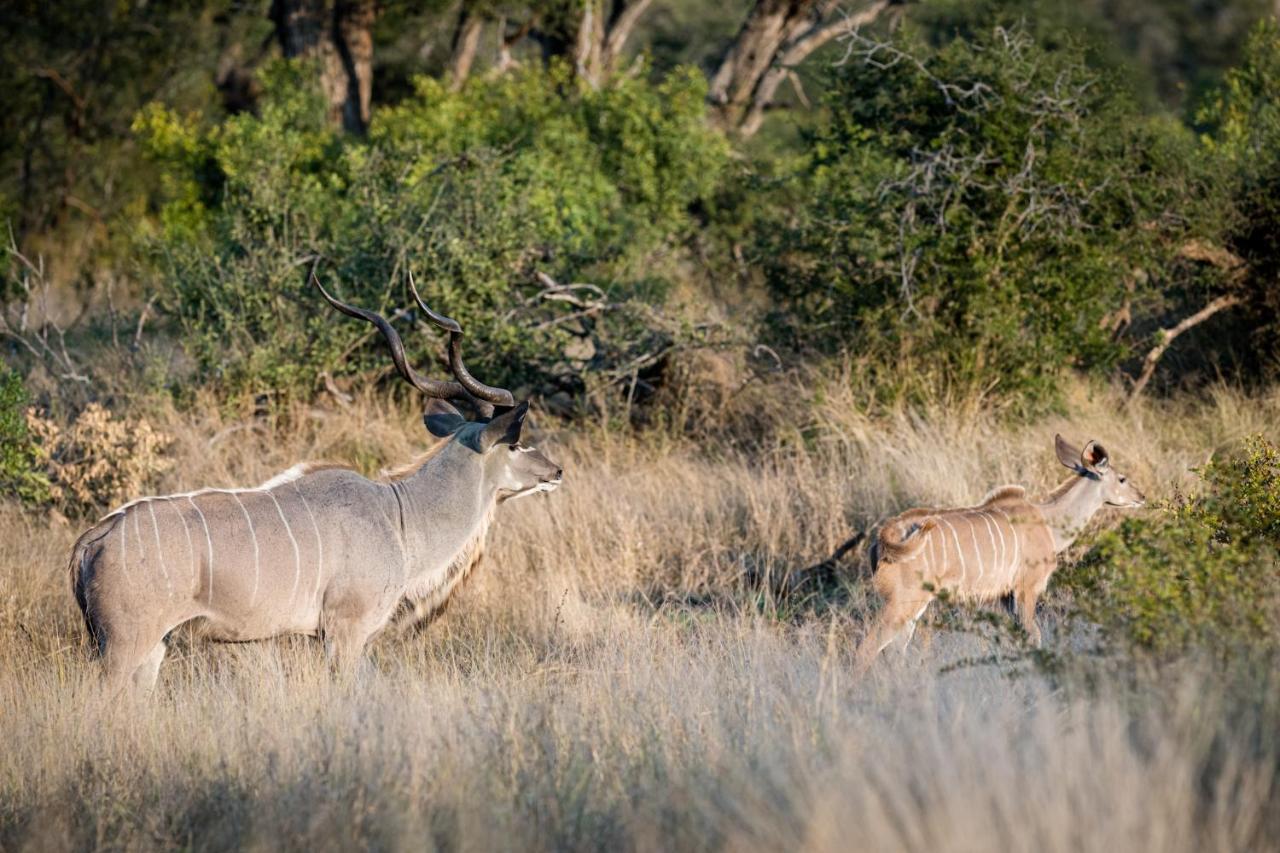 Nkuhlu Tented Camp Luxuszelt Skukuza