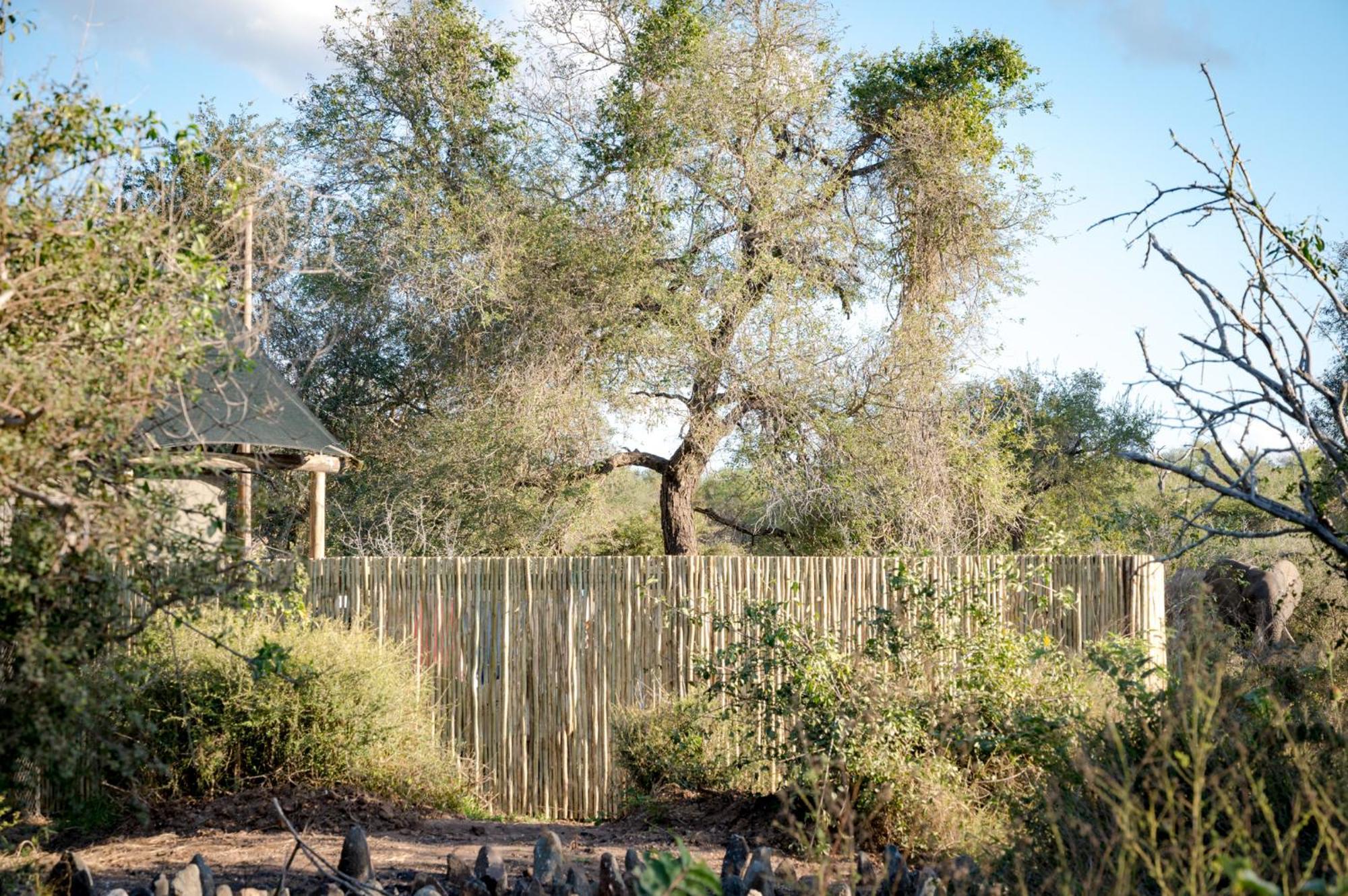 Luxuszelt Nkuhlu Tented Camp Skukuza