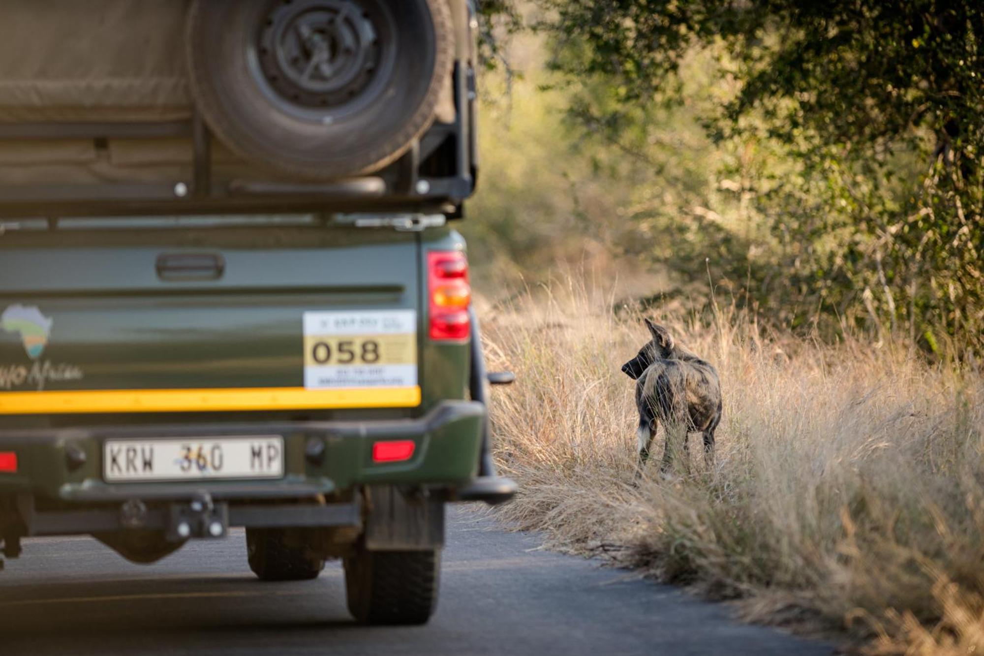 Nkuhlu Tented Camp *